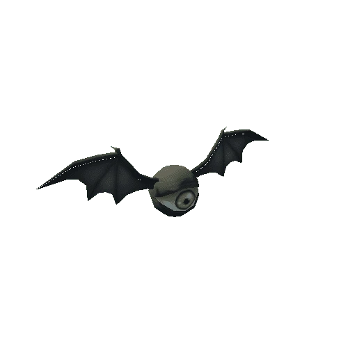 One Eyed Bat-Black